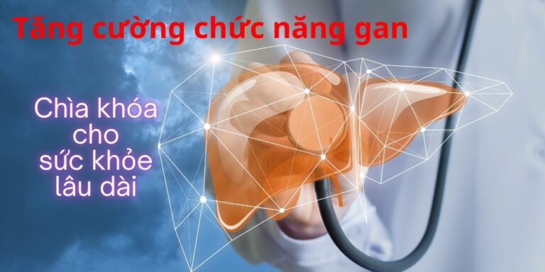 Tăng cường chức năng gan: chìa khóa cho sức khỏe lâu dài