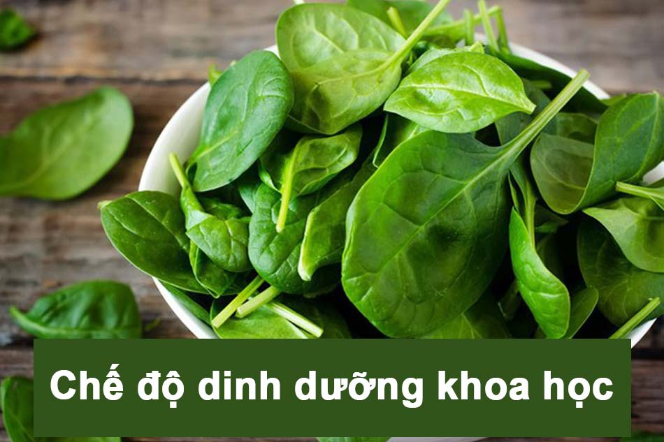 Chế độ dinh dưỡng khoa học giúp ngăn ngừa bệnh trĩ