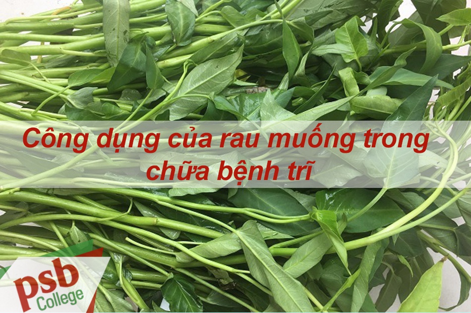 Công dụng của rau muống trong chữa bệnh trĩ