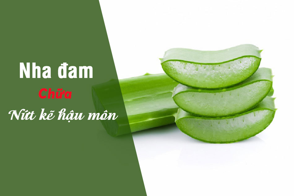 Chữa nứt kẽ hậu môn tại nhà với nha đam