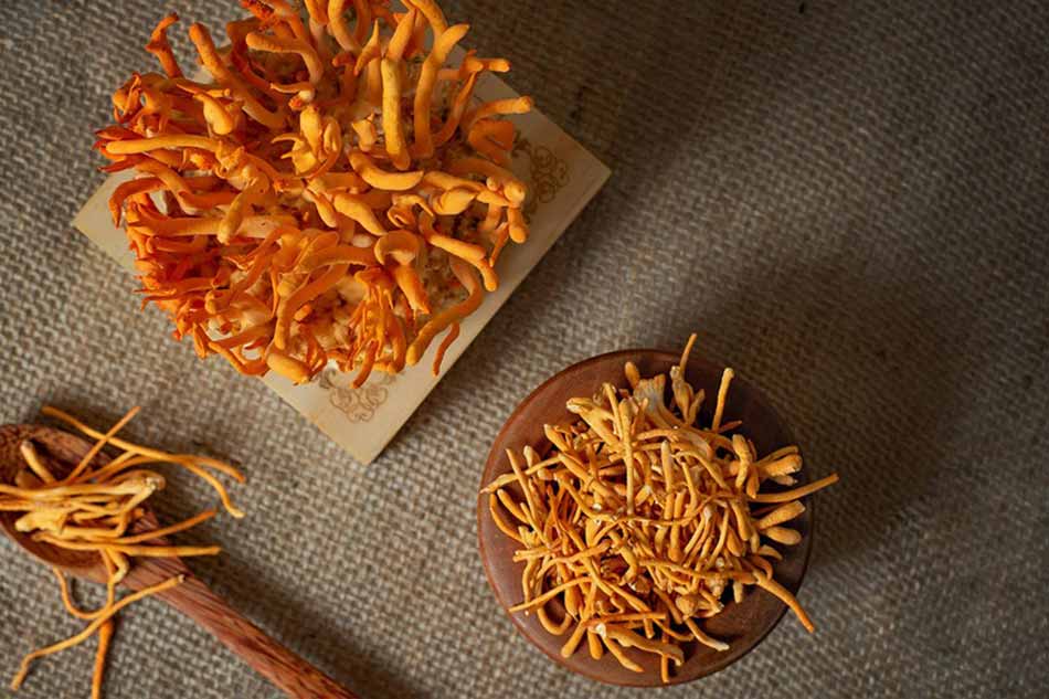 Đông trùng hạ thảo giúp tăng cường sinh lý