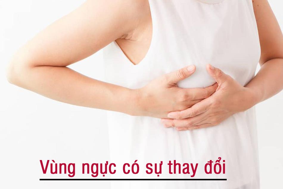 Vùng ngực có sự thay đổi
