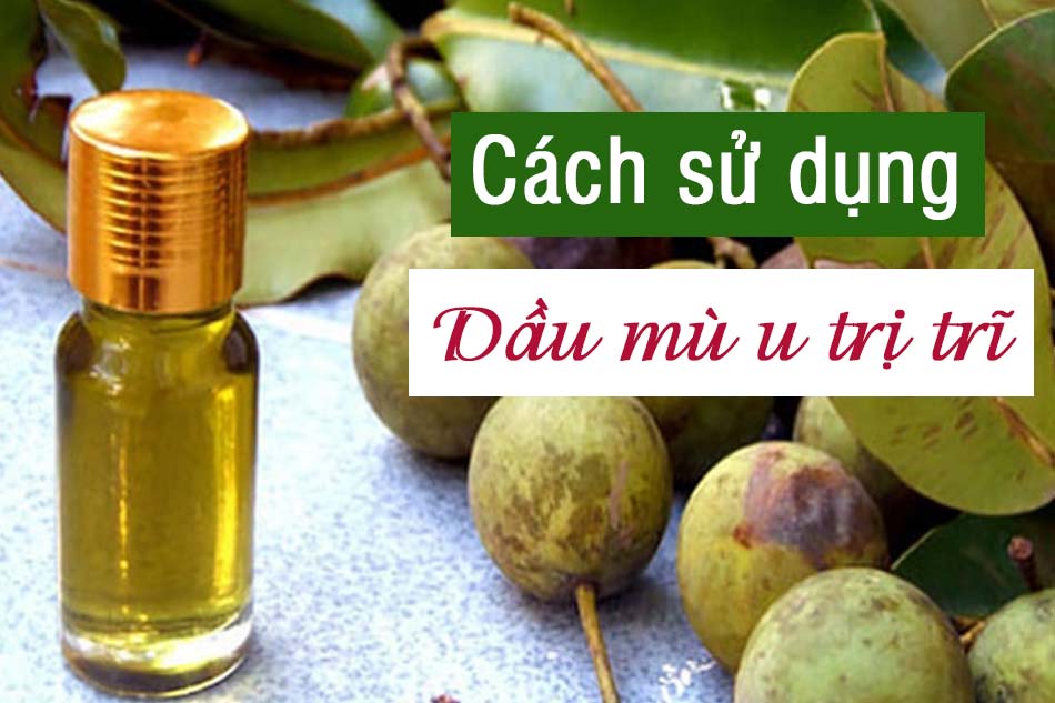 Cách sử dụng dầu mù u trị trĩ