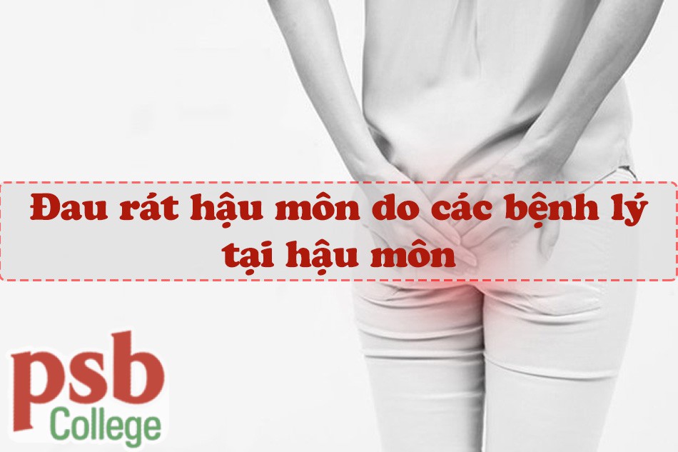 Đau rát hậu môn do các bệnh lý hậu môn