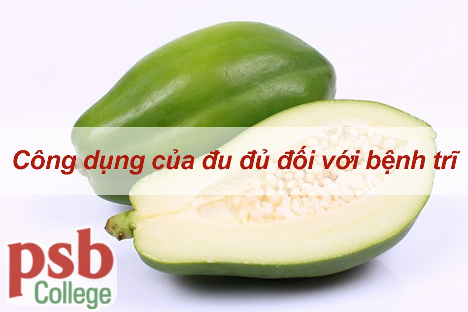 Tác dụng của đu đủ đối với bệnh trĩ