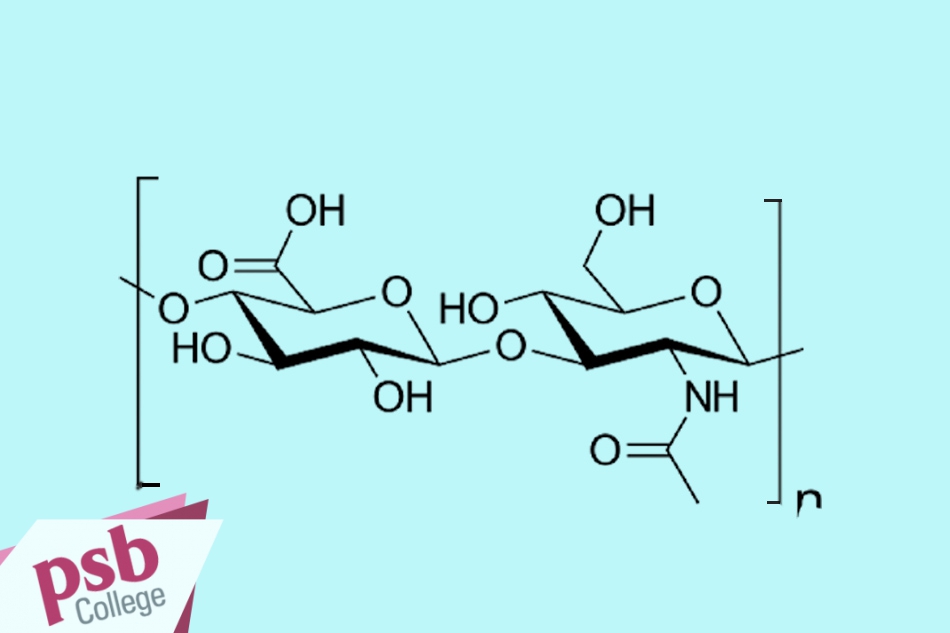 Công thức của acid Hyaluronic