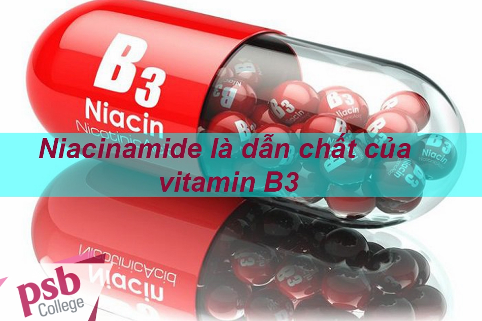 Niacinamide là một dẫn chất của vitamin B3