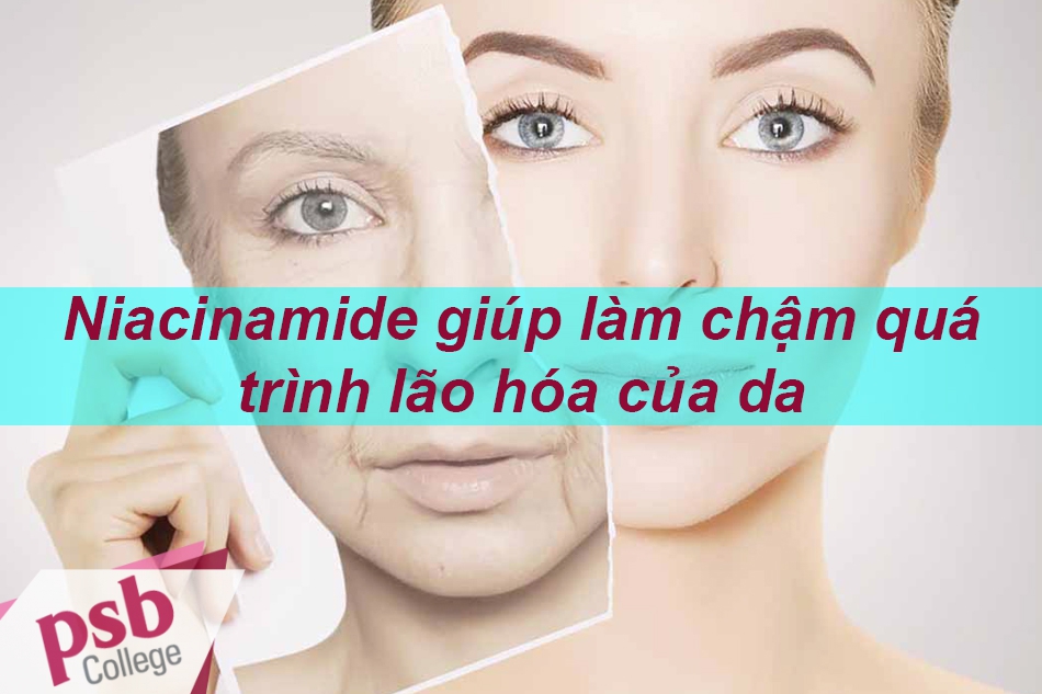 Niacinamide làm chậm quá trình lão hóa của da