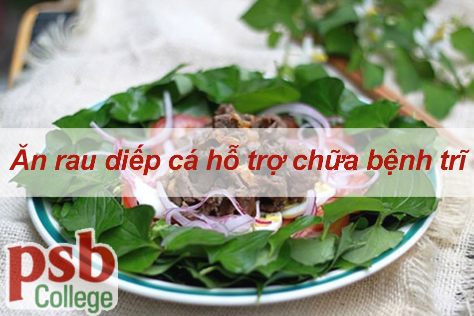 Ăn rau diếp cá hỗ trợ điều trị bệnh trĩ   