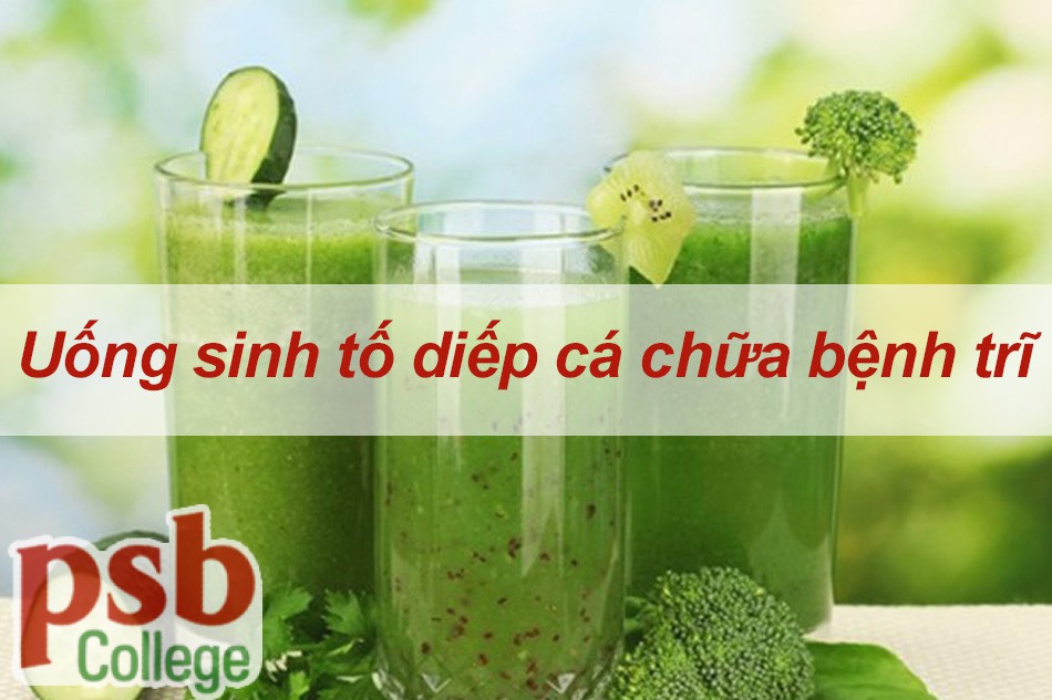 Chữa bệnh trĩ bằng trà diếp cá  