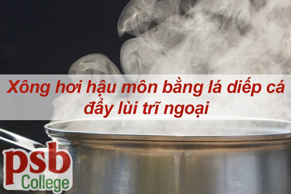 Xông hơi hậu môn bằng lá diếp cá đẩy lùi trĩ ngoại 