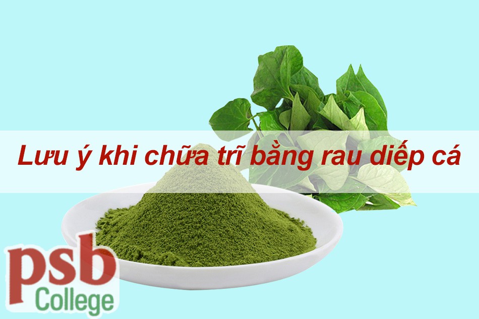 Lưu ý khi chữa bệnh trĩ bằng rau diếp cá