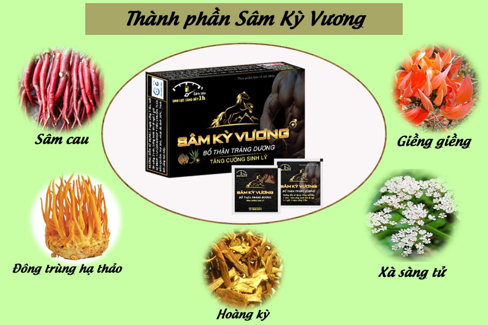 Thành phần của Sâm Kỳ Vương