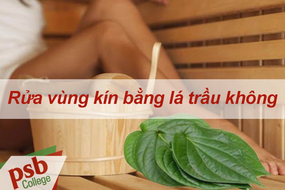 Rửa vùng kín bằng lá trầu không