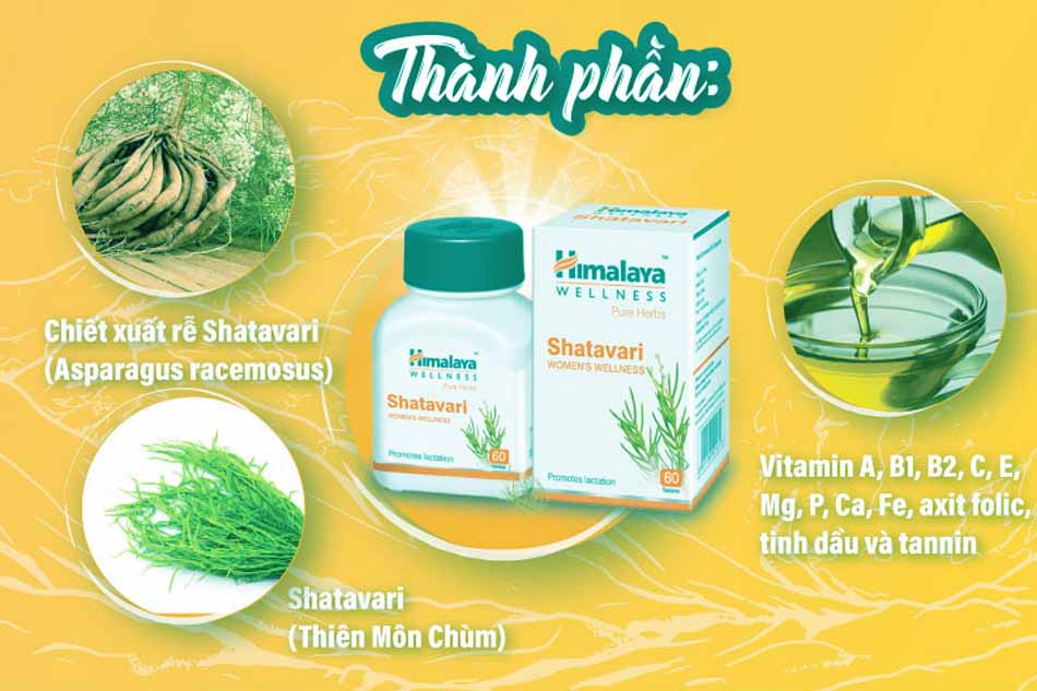 Thành phần chính của Himalaya Shatavari