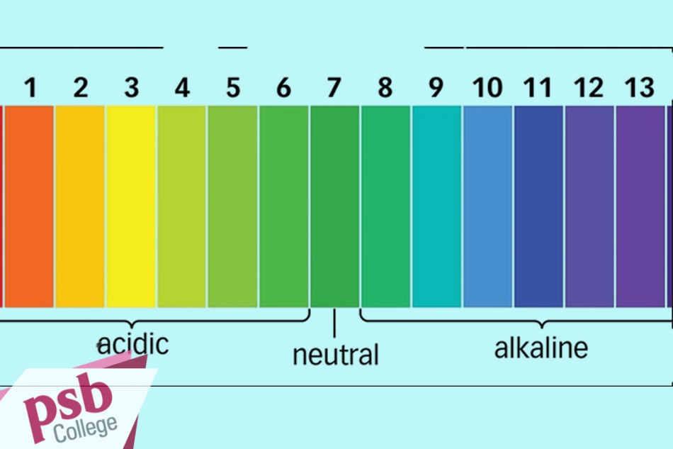 Thang đánh giá mức pH