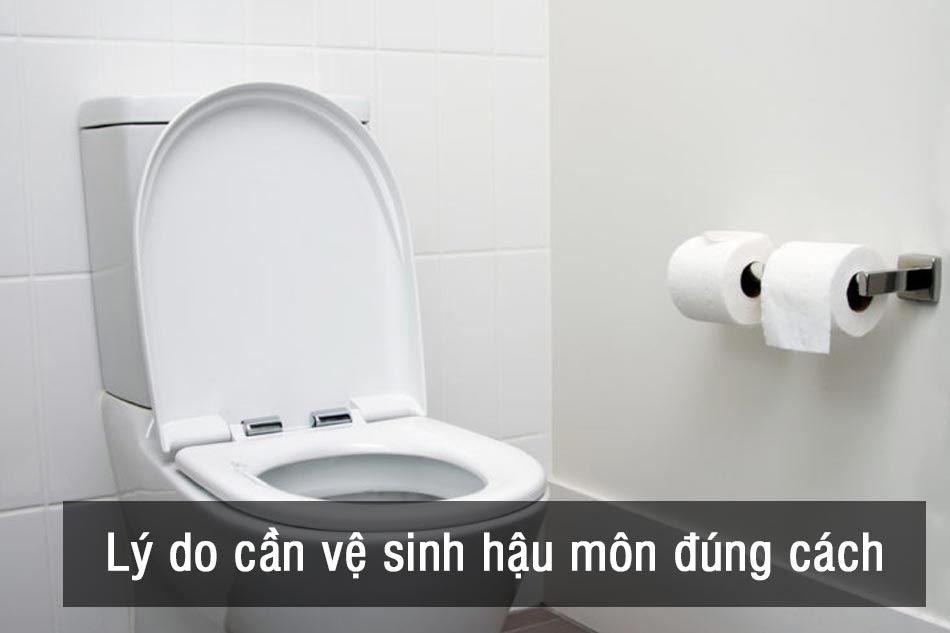 Lý do cần phải vệ sinh hậu môn đúng cách