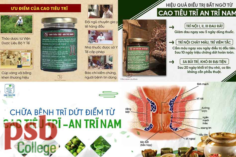 Hiệu quả sử dụng An Trĩ Nam
