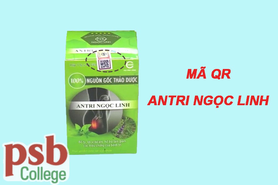 Phân biệt An Trĩ Ngọc Linh thật-giả