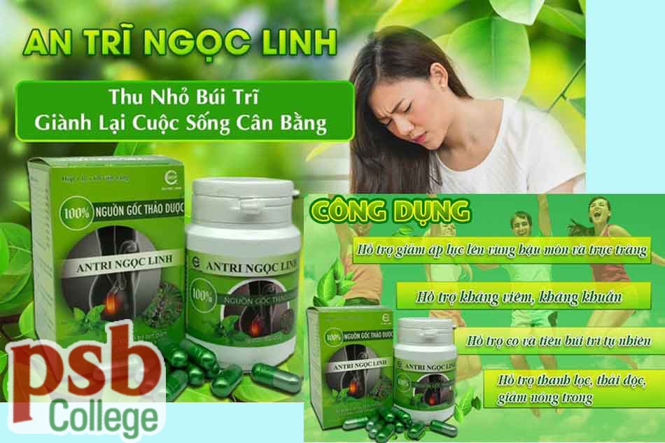 Công dụng của An Trĩ Ngọc Linh