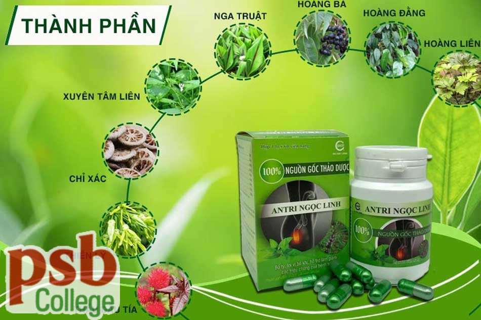 Thành phần của An Trĩ Ngọc Linh