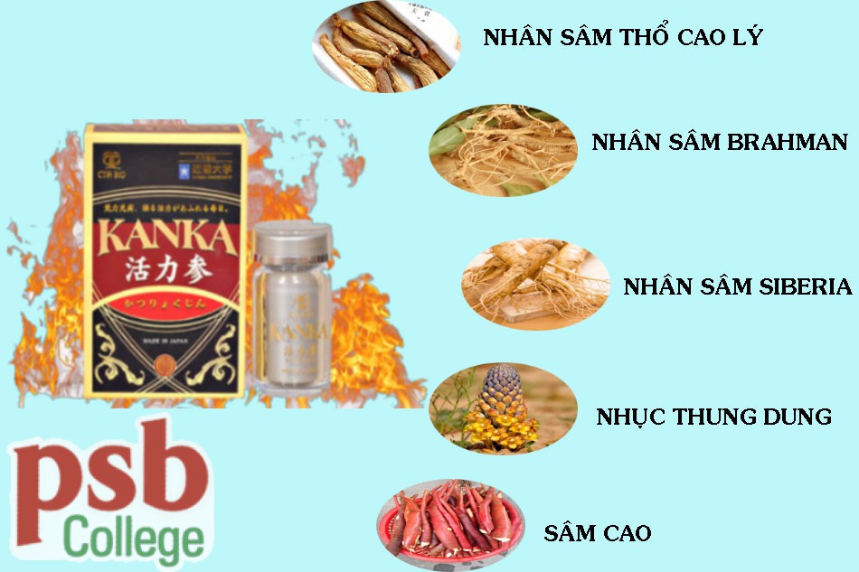 Thành phần của bổ thận Kanka