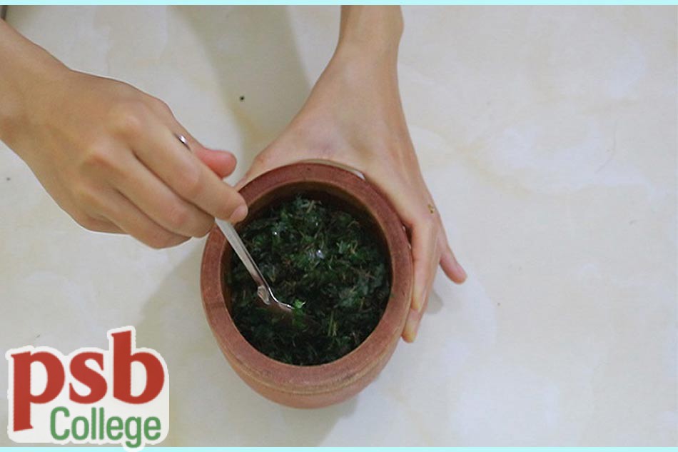 Giã nhuyễn cây lá bỏng với muối ăn