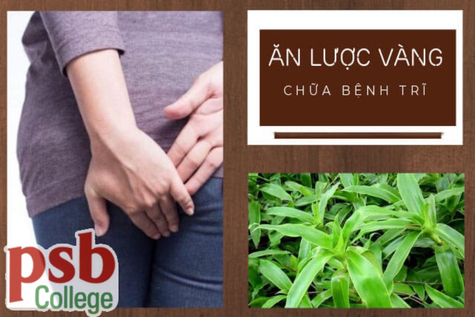 Ăn lược vàng chữa bệnh trĩ