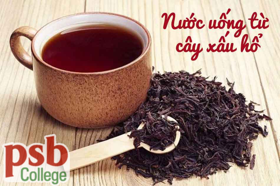 Uống nước cây xấu hổ chữa trĩ nội