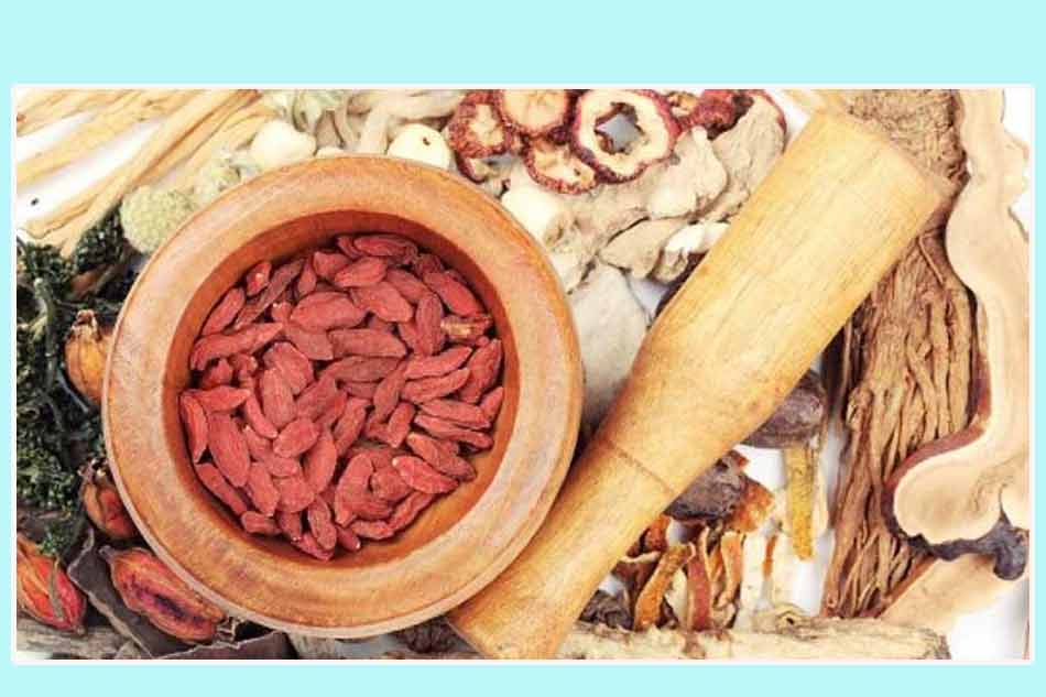 Bài thuốc đông y điều trị tinh trùng yếu hiệu quả do thấp nhiệt hạ chú