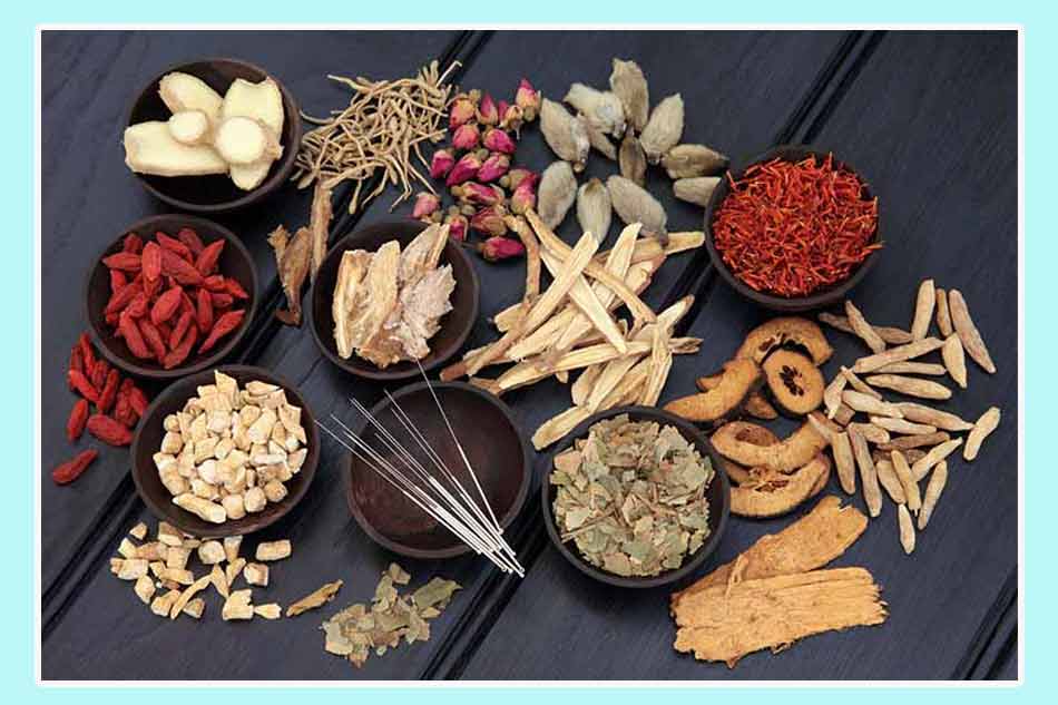 Sử dụng bài thuốc điều trị tinh trùng yếu do khí huyết khuy hư