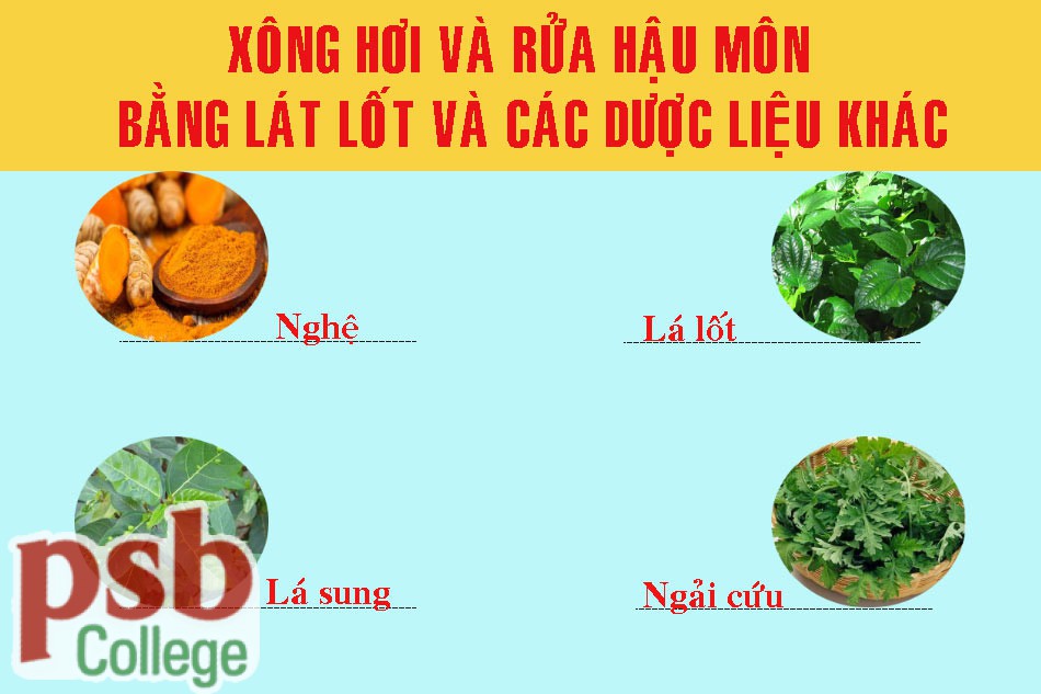 Xông hơi và rửa hậu môn bằng lá lốt và các dược liệu khác