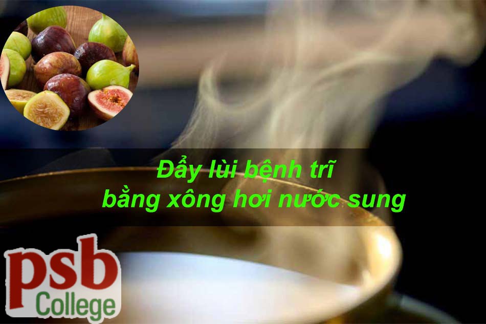 Xông hơi hậu môn bằng nước sung