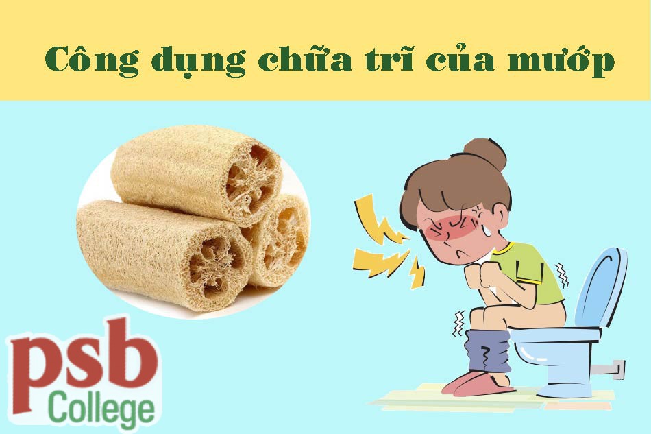 Công dụng chữa trĩ của mướp