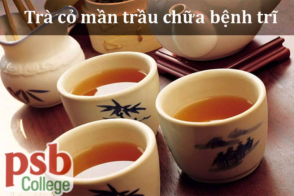 Trĩ trị bằng trà cỏ mần trầu