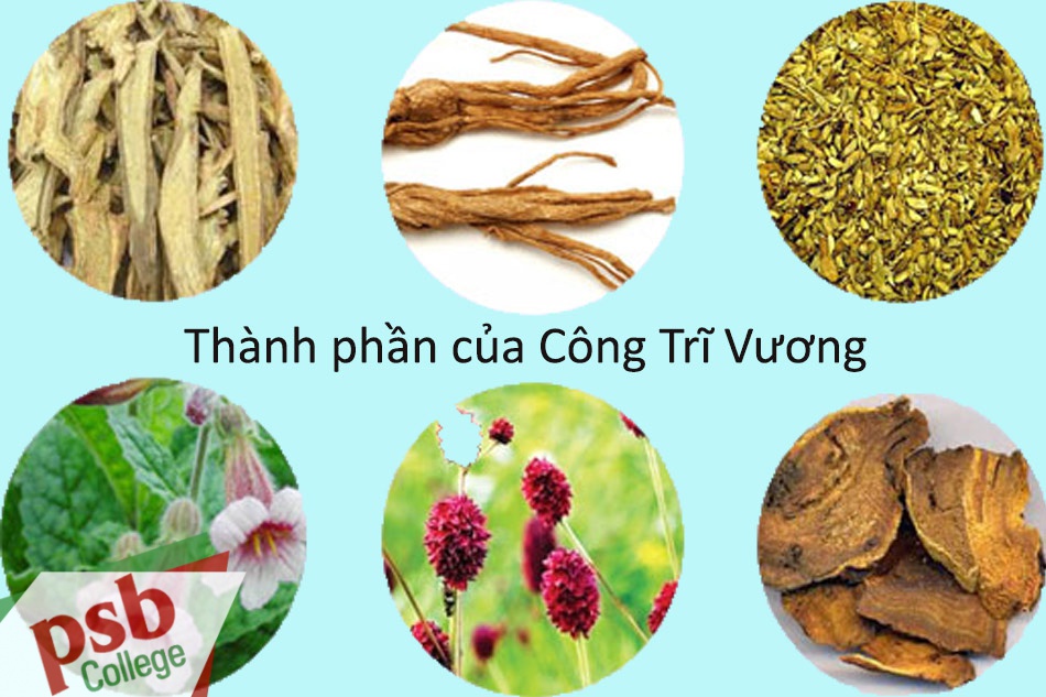 Thành phần của thực phẩm chức năng Công Trĩ Vương