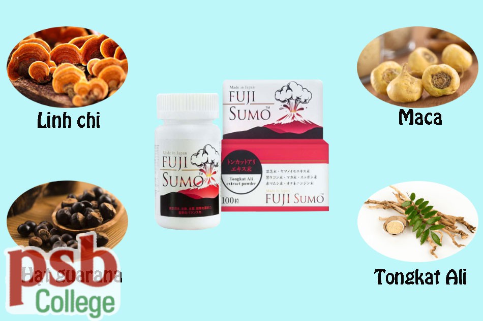 Thành phần chính của Fuji Sumo