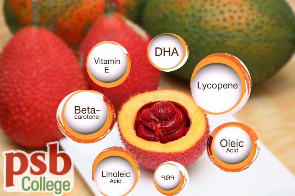 Thành phần của hạt gấc có tác dụng gì trong chữa trĩ