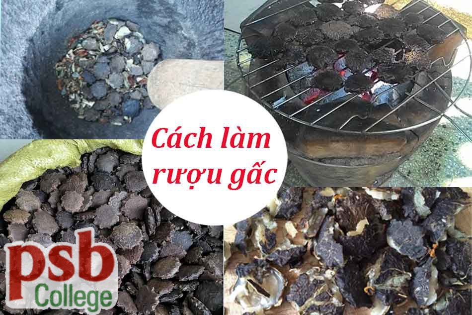 Cách làm rượu gấc chữa trĩ