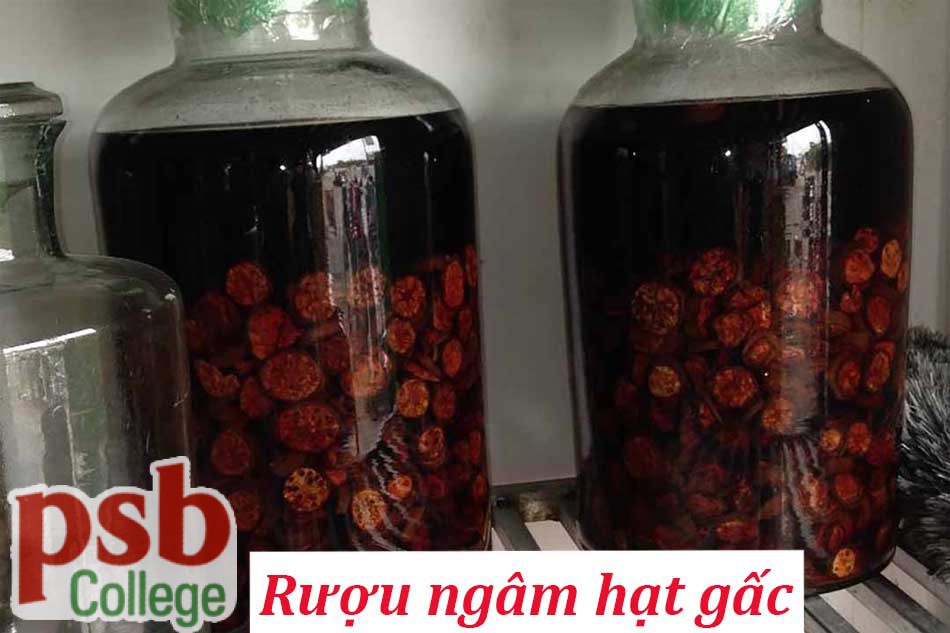 Rượu gấc chữa bệnh trĩ