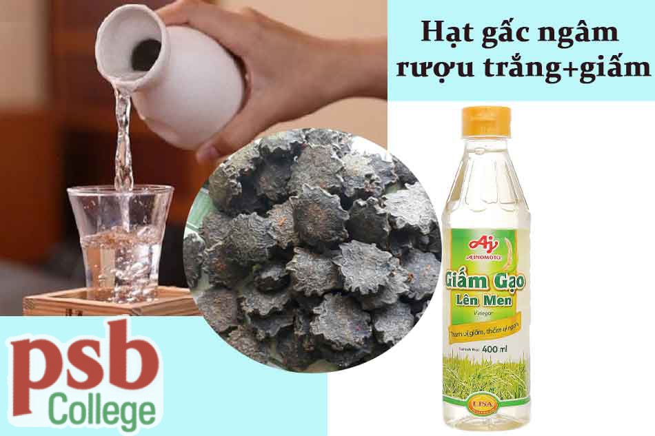 Hạt gấc ngâm giấm và rượu trắng