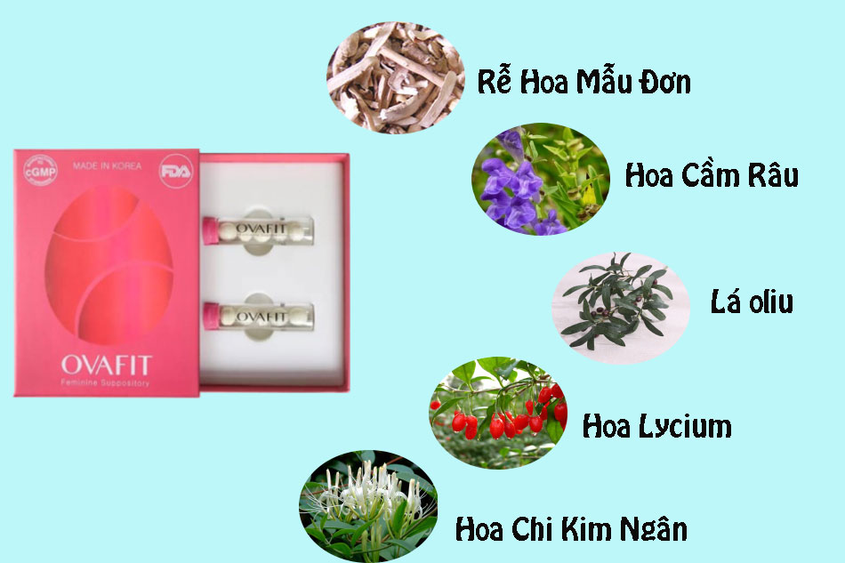 Hình ảnh viên đặt Ovafit