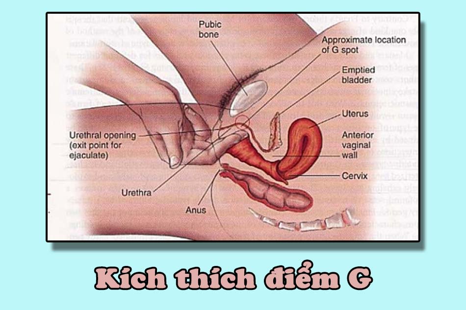 Cách khiến nàng lên đỉnh