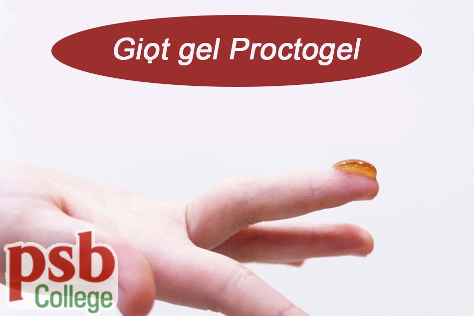 Một giọt gel bôi trĩ Proctogel