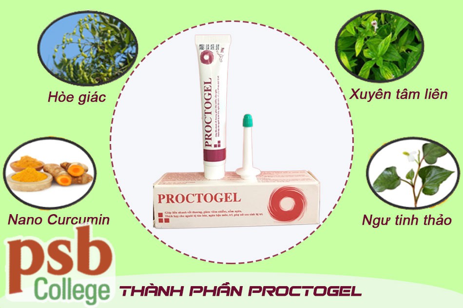 Những thành phần quý của Gel bôi trĩ Proctogel