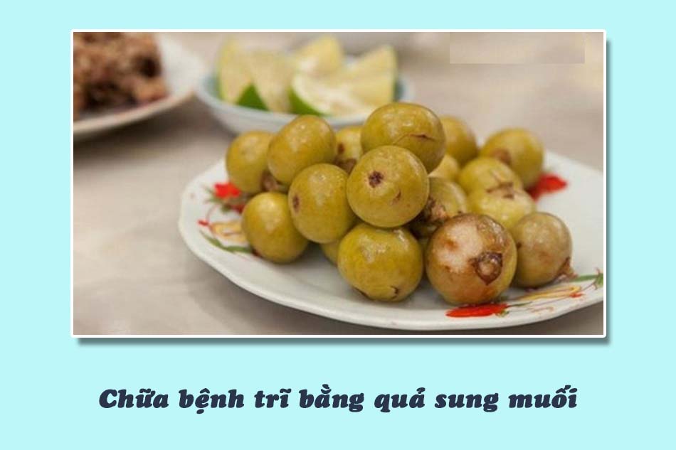 Chữa bệnh trĩ bằng quả sung muối
