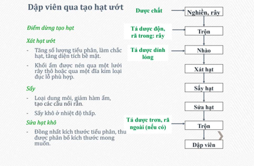 Hình ảnh các bước của phương pháp tạo hạt ướt