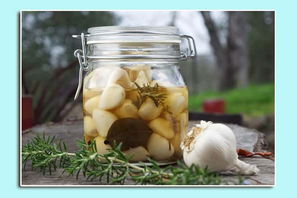 Cách làm rượu tỏi chữa bệnh trĩ