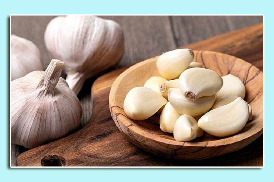 Tác dụng của tỏi trong điều trị bệnh trĩ