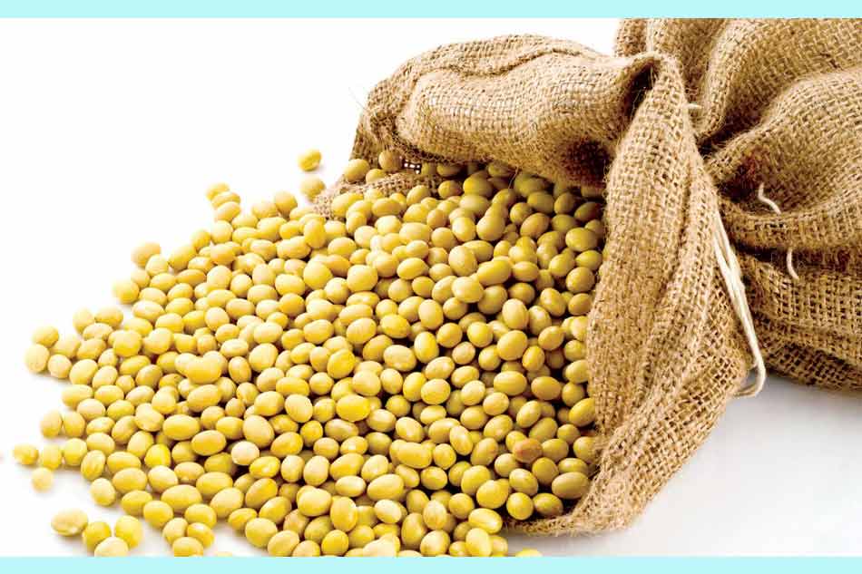 Cách sử dụng sữa đậu nành đúng cách